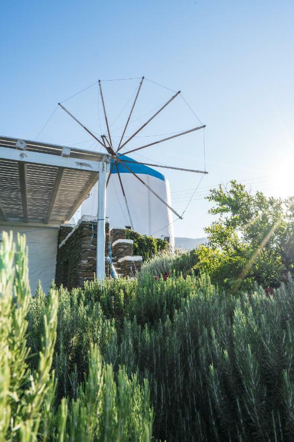 Windmill Arades Suite Apollonía Esterno foto